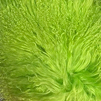 Mongolia Sheep Fur Cropped Jacket Women