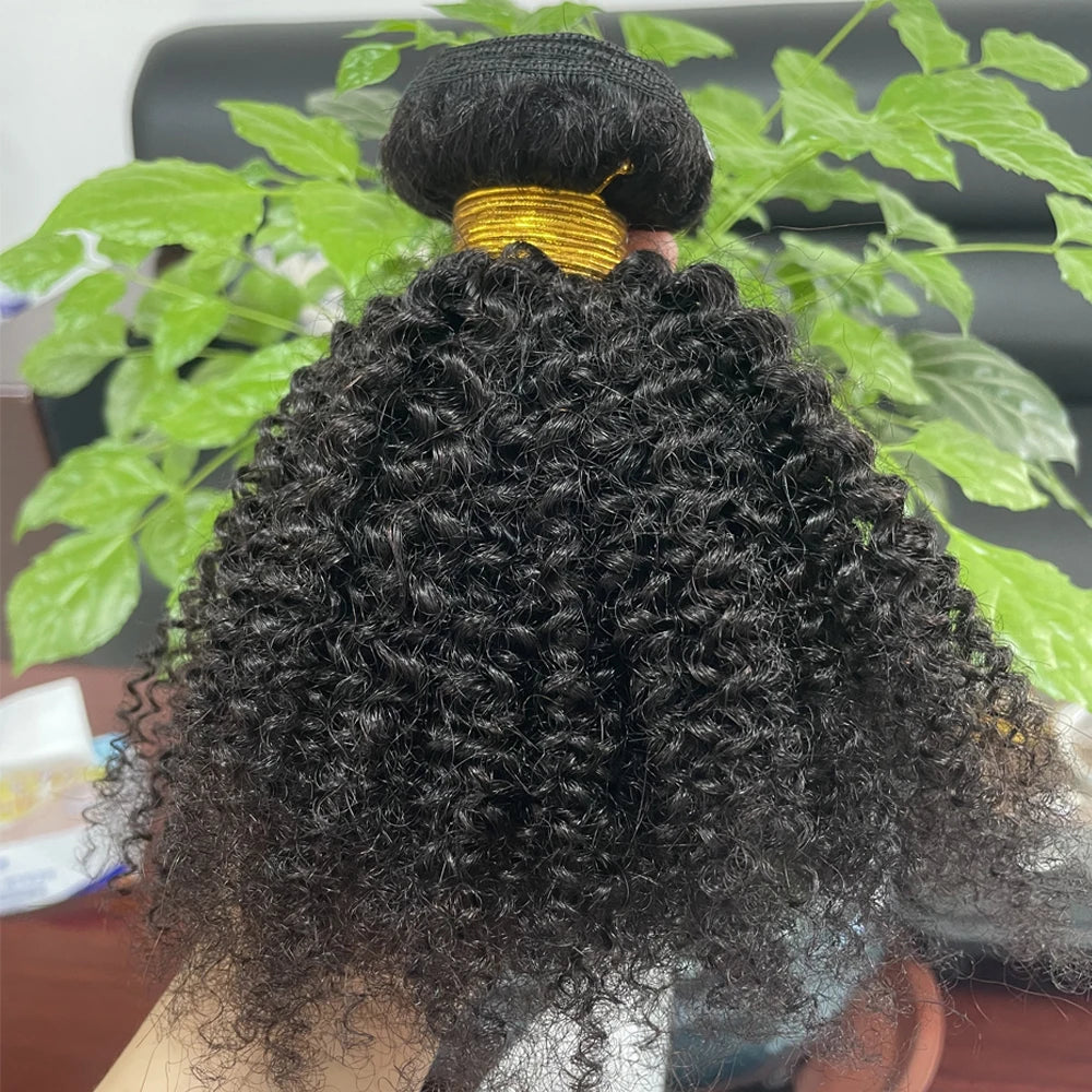 Afro Kinky Curly Bundles Brazilian 1/3 Afro Kinky Human Hair